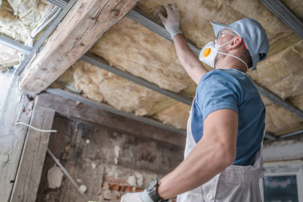Best Energy-efficient Insulation  in , SC