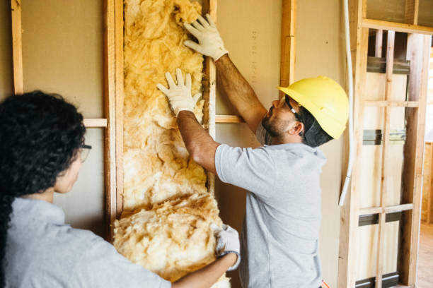 Best Insulation Repair Services  in , SC