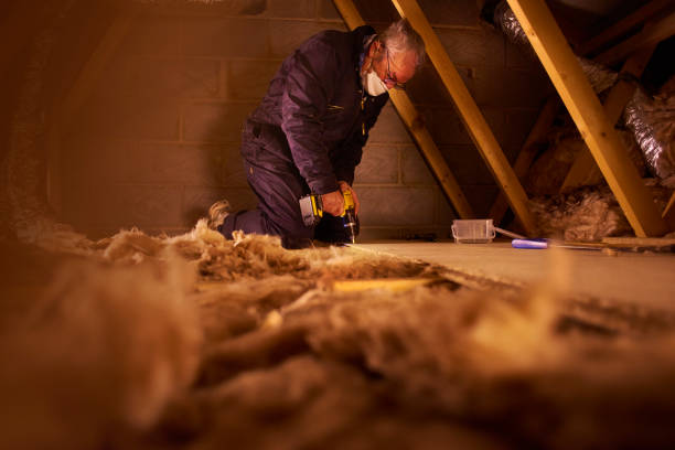 Best Insulation Replacement Services  in , SC
